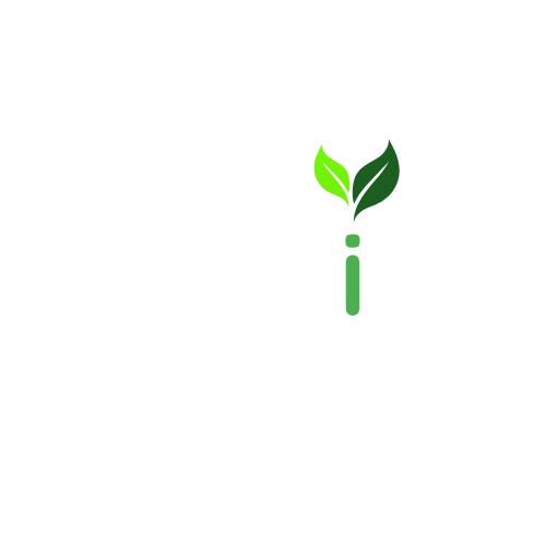Aethiro — Carbon made simple